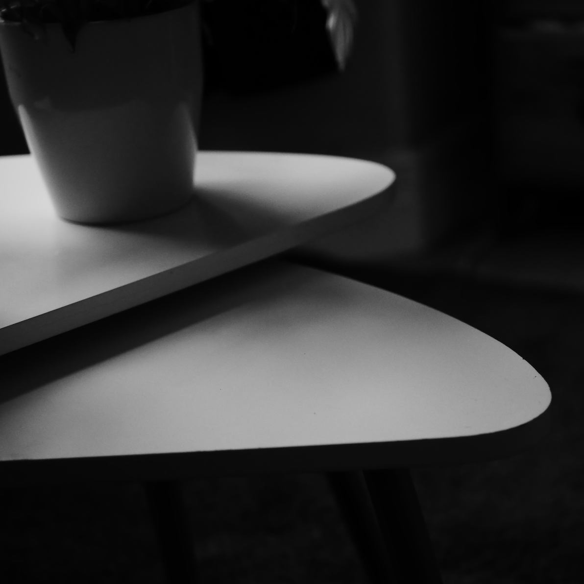 DOMESTIC MONOCHROMES